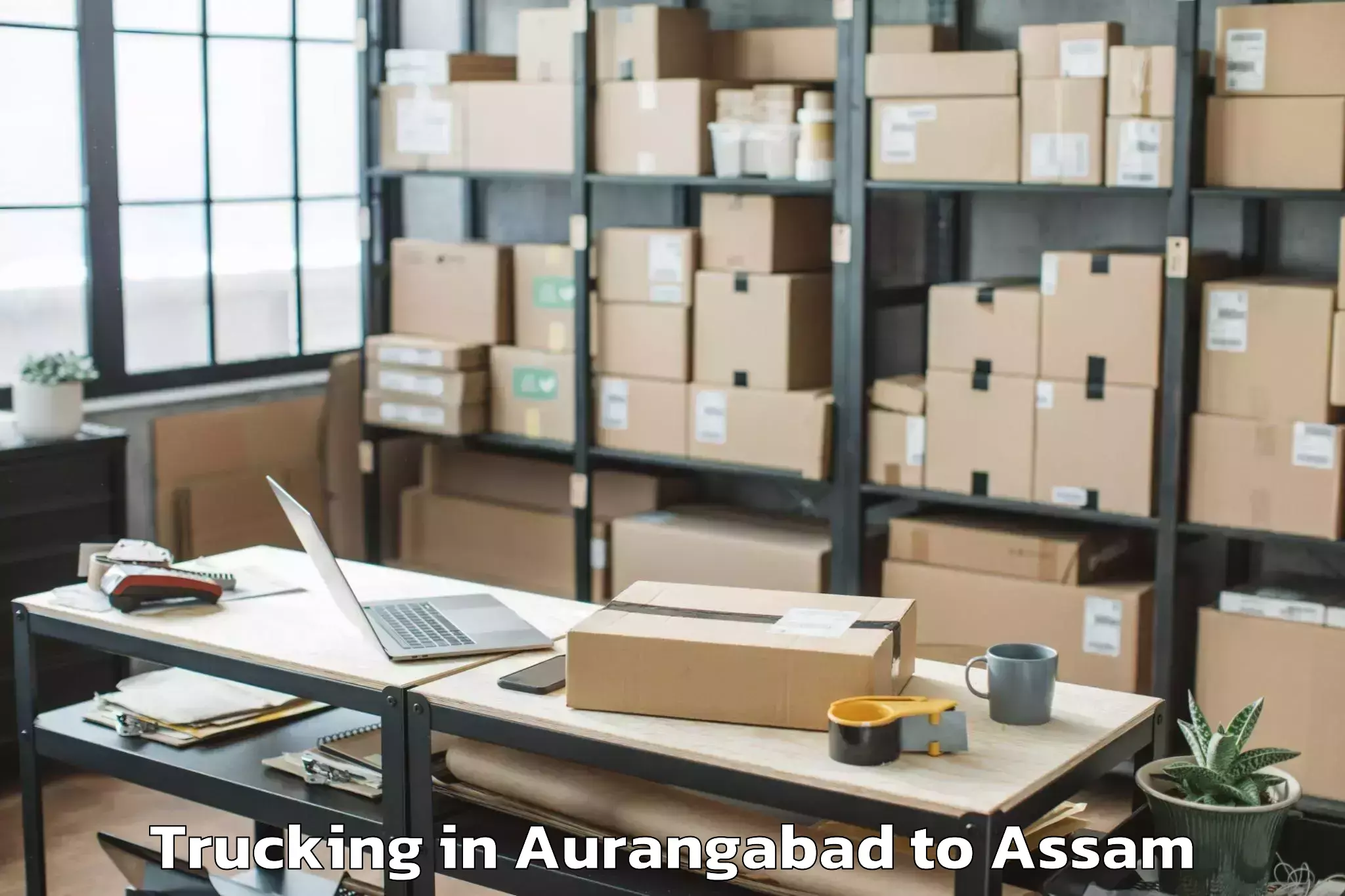 Quality Aurangabad to Likabali Trucking